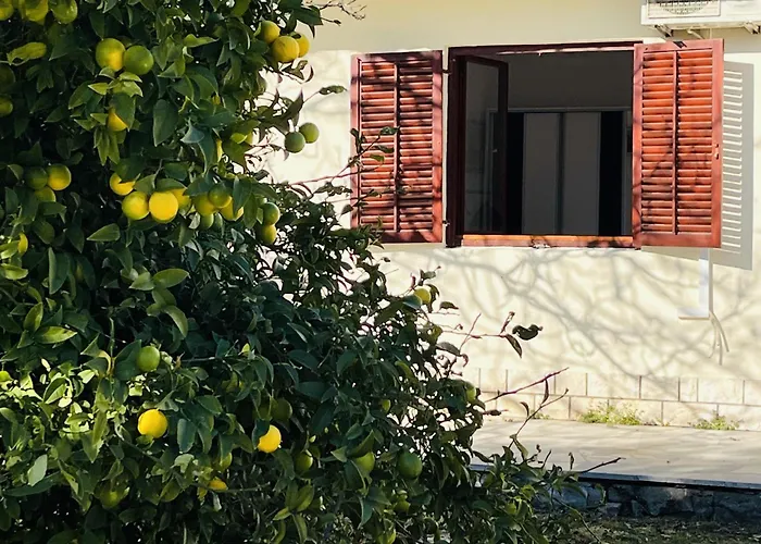 Beachfront Drazen With Patio & Parking Διαμέρισμα *