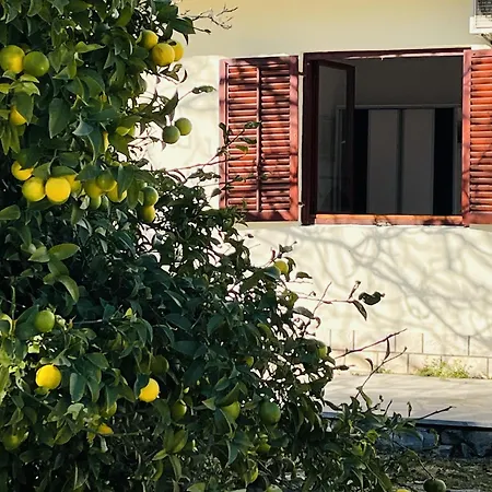 Beachfront Drazen With Patio & Parking Apartment *